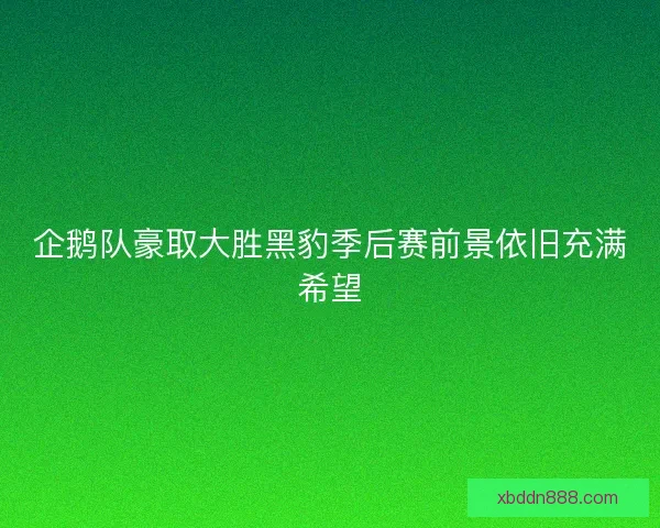 企鹅队豪取大胜黑豹季后赛前景依旧充满希望