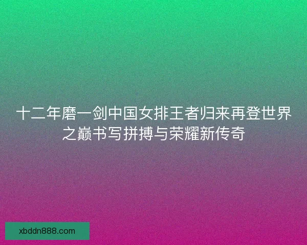 十二年磨一剑中国女排王者归来再登世界之巅书写拼搏与荣耀新传奇