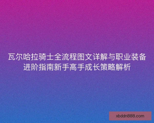 瓦尔哈拉骑士全流程图文详解与职业装备进阶指南新手高手成长策略解析