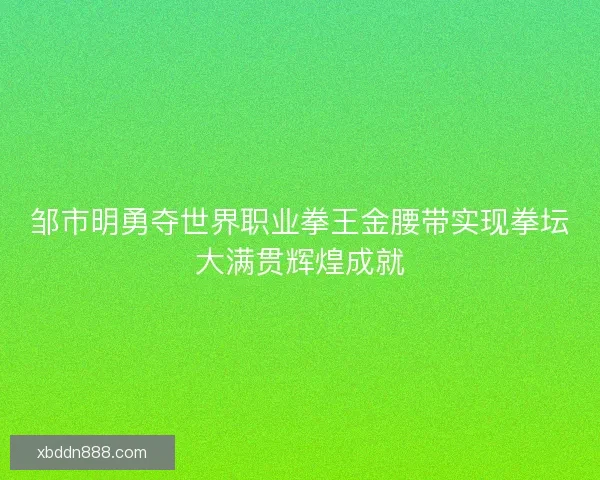 邹市明勇夺世界职业拳王金腰带实现拳坛大满贯辉煌成就